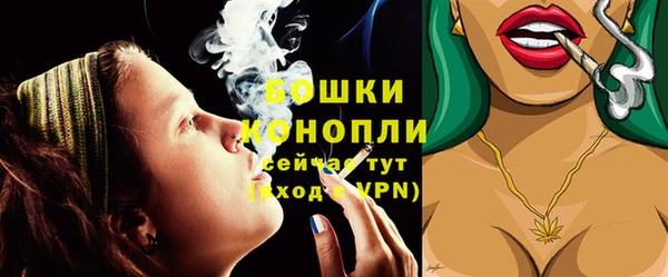 стафф Богданович