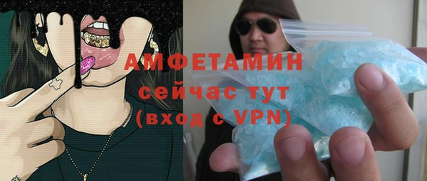 молекула духа Богородск