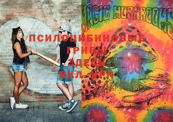 стафф Богданович