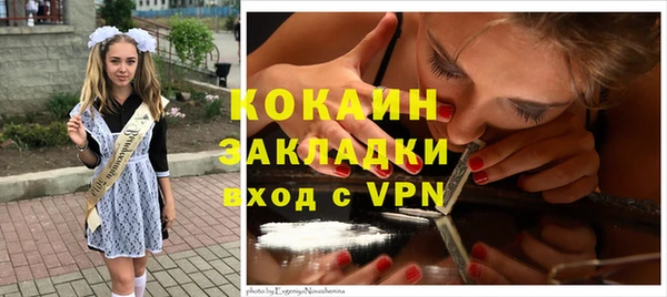молекула духа Богородск