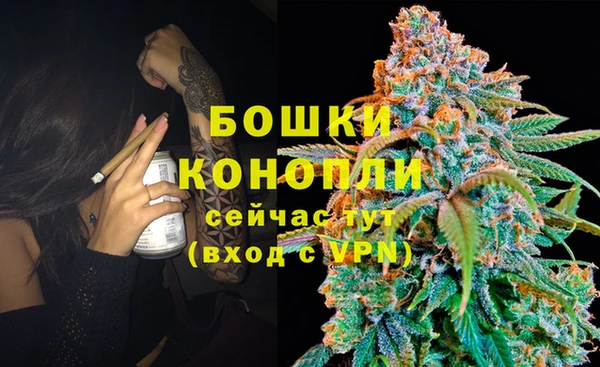 стафф Богданович