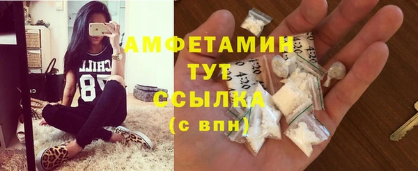 молекула духа Богородск