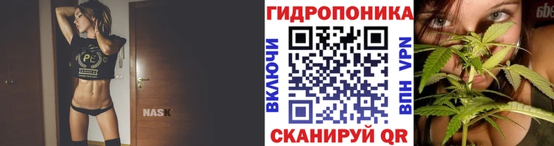 Бошки Шишки THC 21%  Уссурийск 